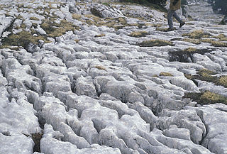 Lapia limestone at the Dent de Crolles