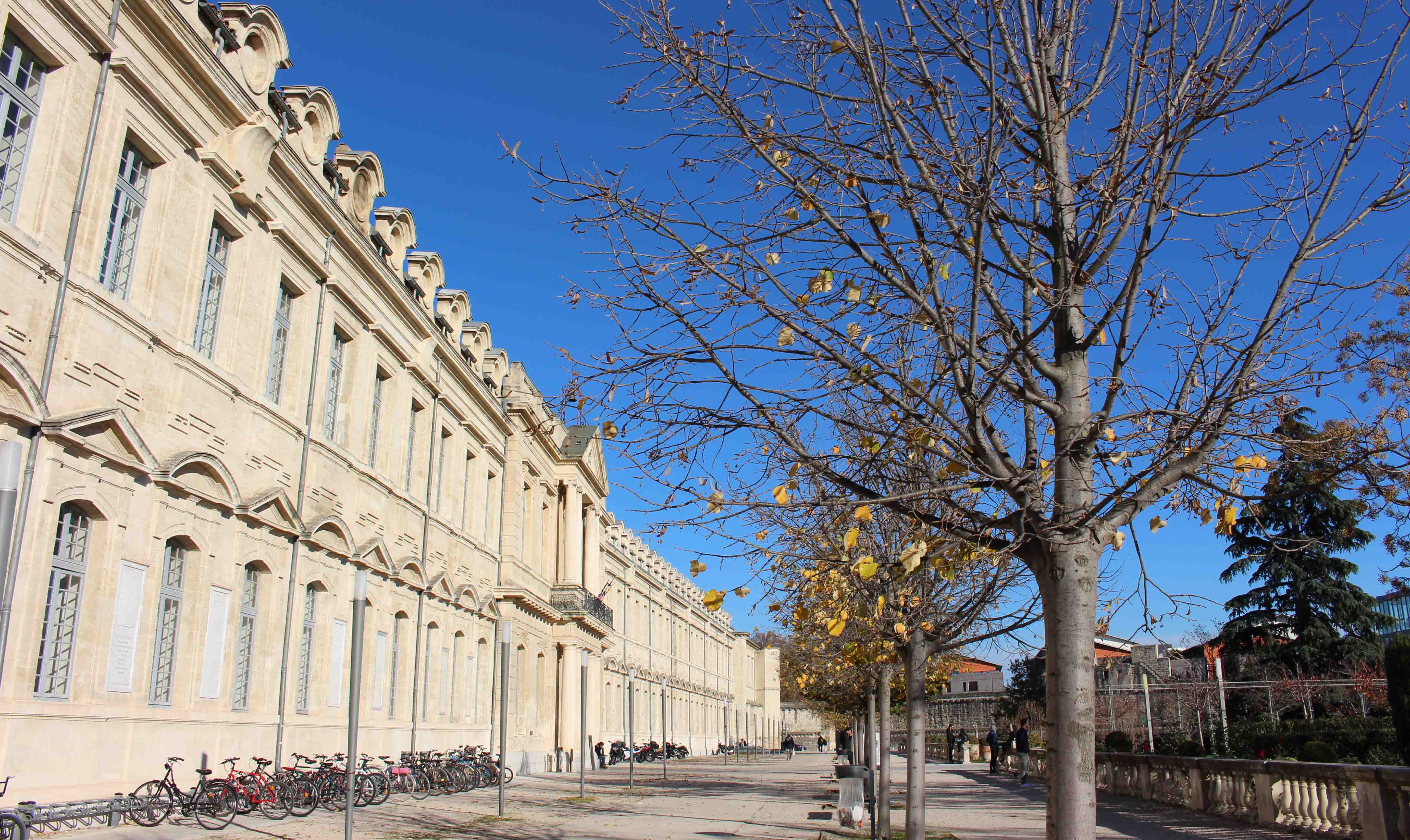 North building - Université Avignon - In pictures