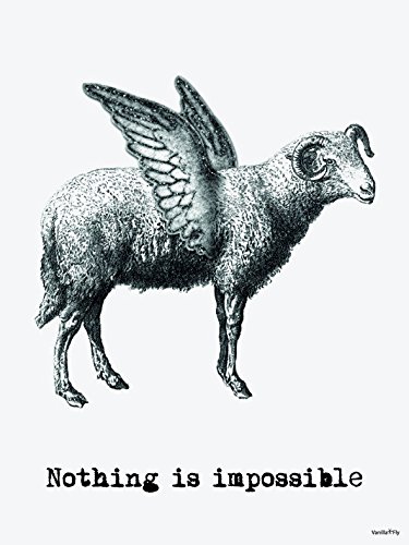 Nothing is impossible - poster Vanilla Fly
https://www.vanillafly.dk/