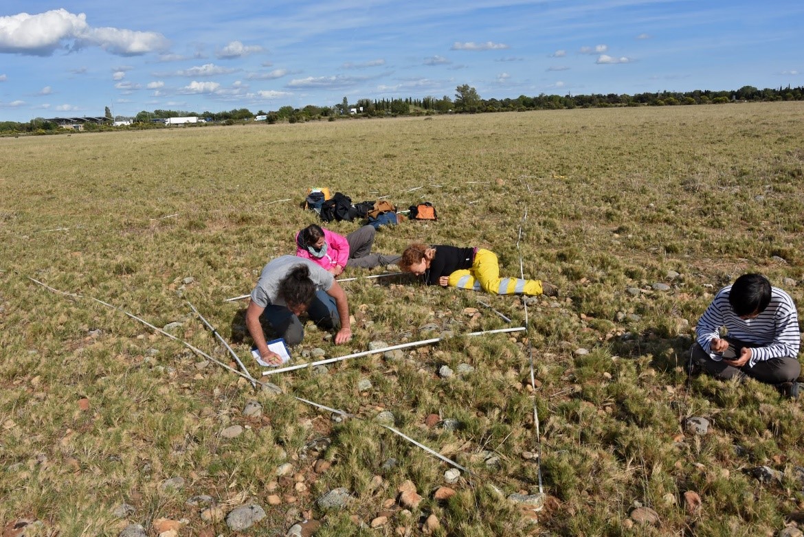 Vegetation surveys in a natural grassland of the La Crau plain (Bouches-du-Rhône)