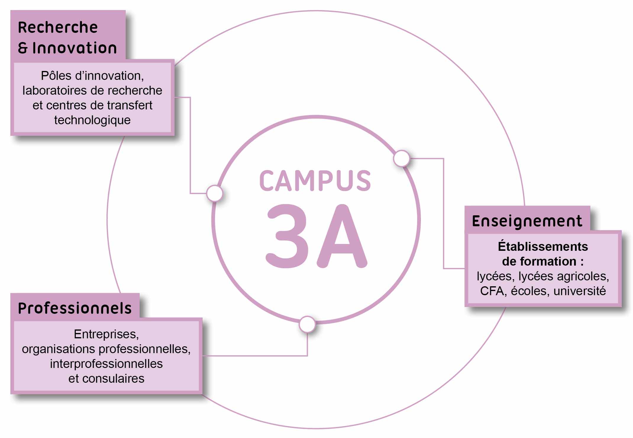 Campus 3A