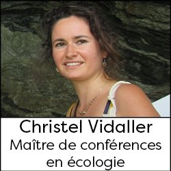 Christel Vidaller - Maître de conférences en Écologie, Dynamique et Génétique des populations, Conservation et Restauration 