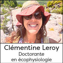 Clémentine Leroy, Doctoral student in ecophysiology