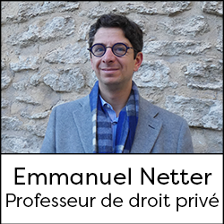 Emmanuel Netter, Professeur de droit privé