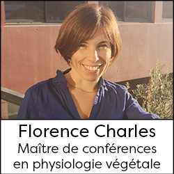 Florence Charles - Maître de conférences en physiologie végétale