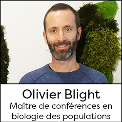 Olivier Blight - Maître de conférences en biologie des populations et écologie