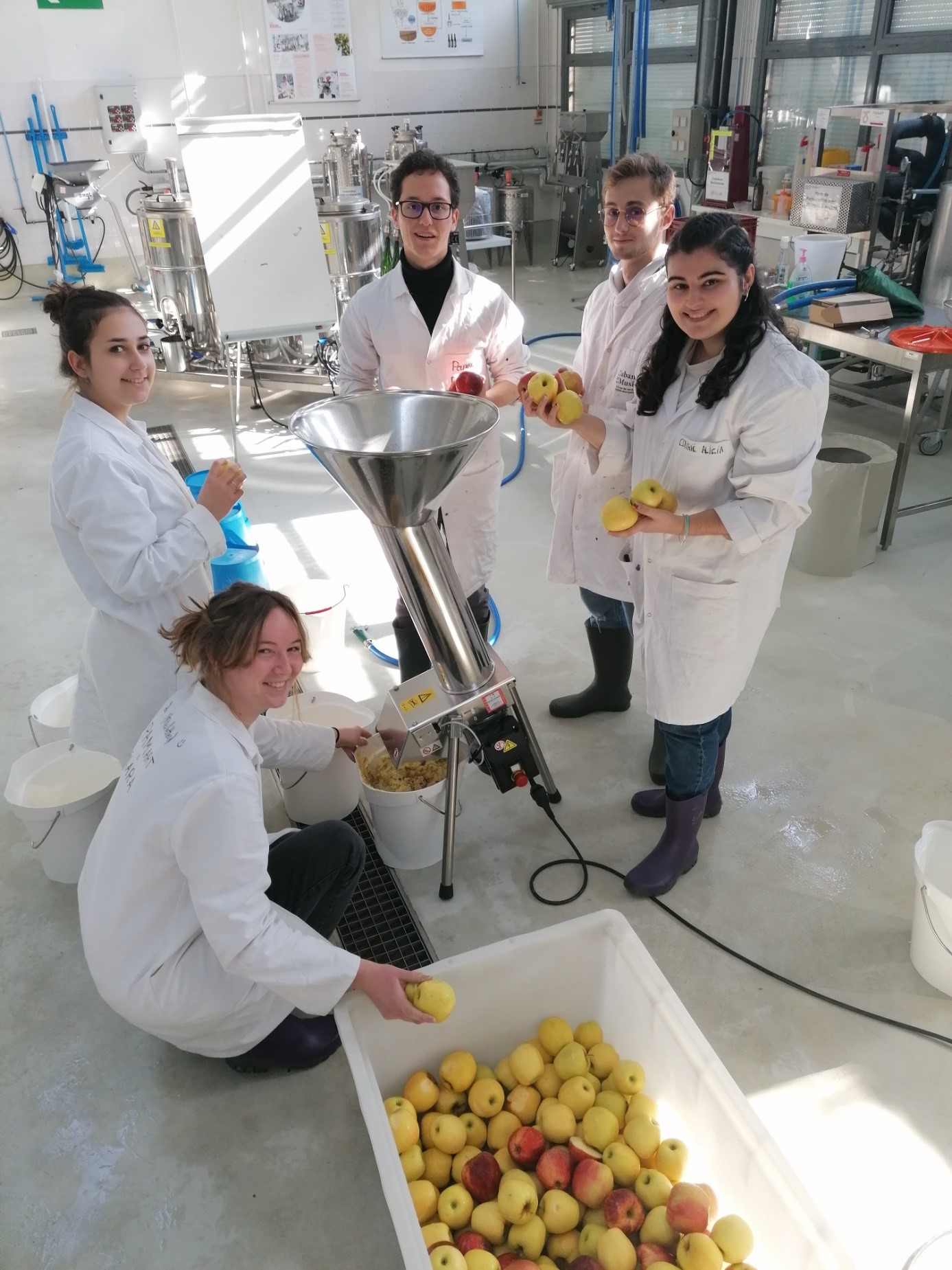 TP jus de pommes en halle de technologie à l'IUT d'Avignon