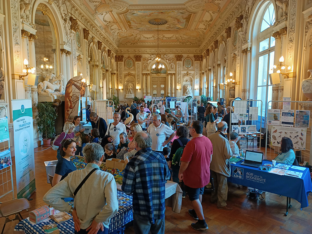 Village des Sciences 2024 - Avignon