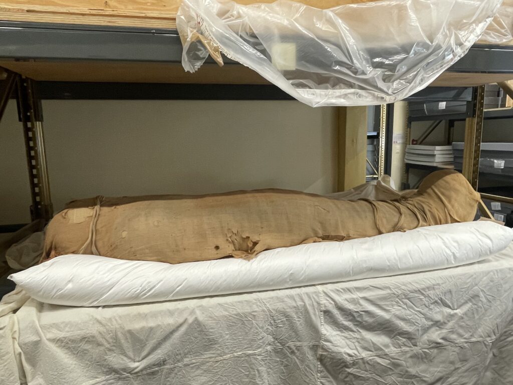Momie égyptienne - Musée d’archéologie méditerranéenne de Marseille - photo : Laure Antunes, 2022
